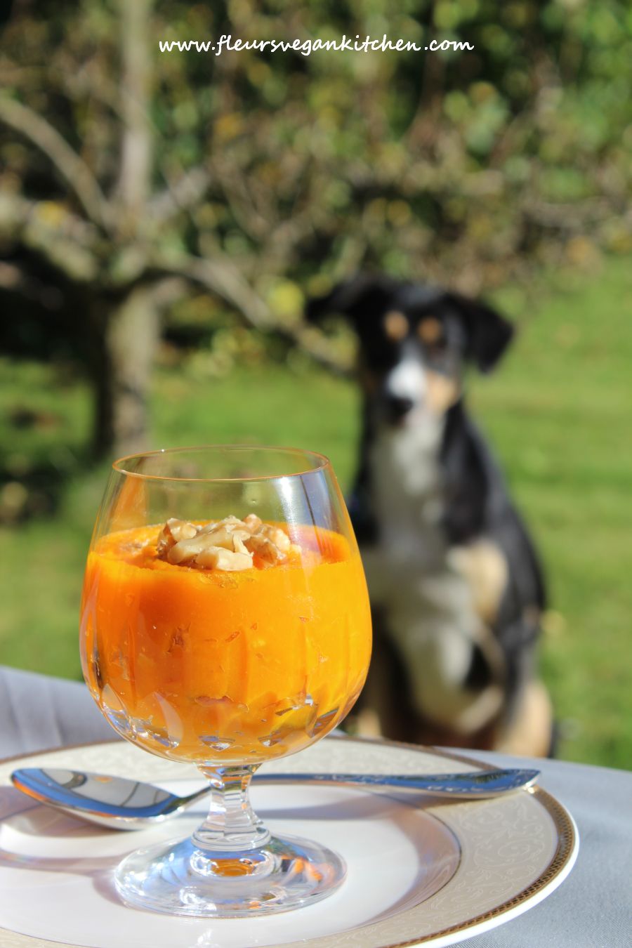 <!--:en-->Pumpkin mousse<!--:--><!--:ro-->Mousse de dovleac<!--:--><!--:nl-->Pompoen mousse<!--:--><!--:it-->Mousse di zucca<!--:-->